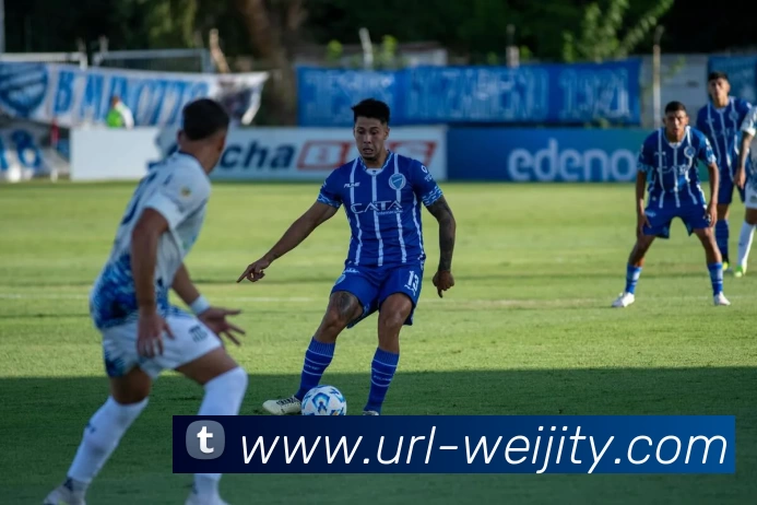 维基体育平台生态图