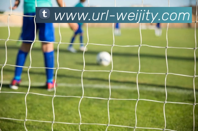 数据防护可视化